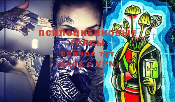ALPHA-PVP Дмитриев