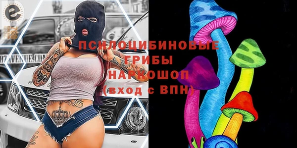 бошки Горняк