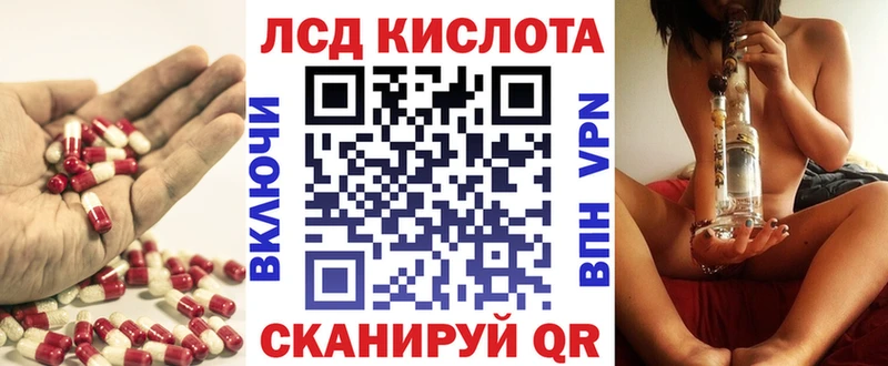 закладки  Завитинск  Лсд 25 экстази ecstasy 